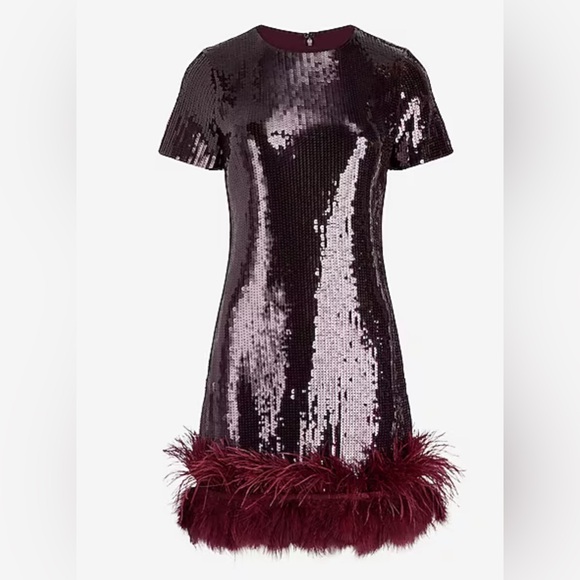 Express Sequin Crew Neck Feather Hem Mini Dress - Picture 2 of 2